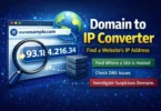 Domain to IP Converter: Find Where a Website Really Lives