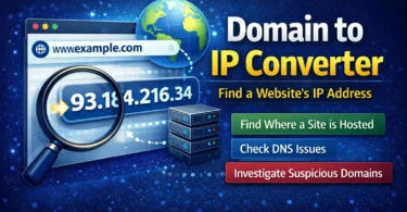 Domain to IP Converter: Find Where a Website Really Lives